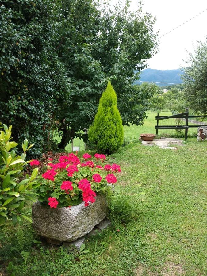 Casa Bartula Villa Bolzano Novarese Luaran gambar